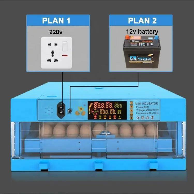 Innovative Egg Hatching Technology for All Birds - Simply Petastic
