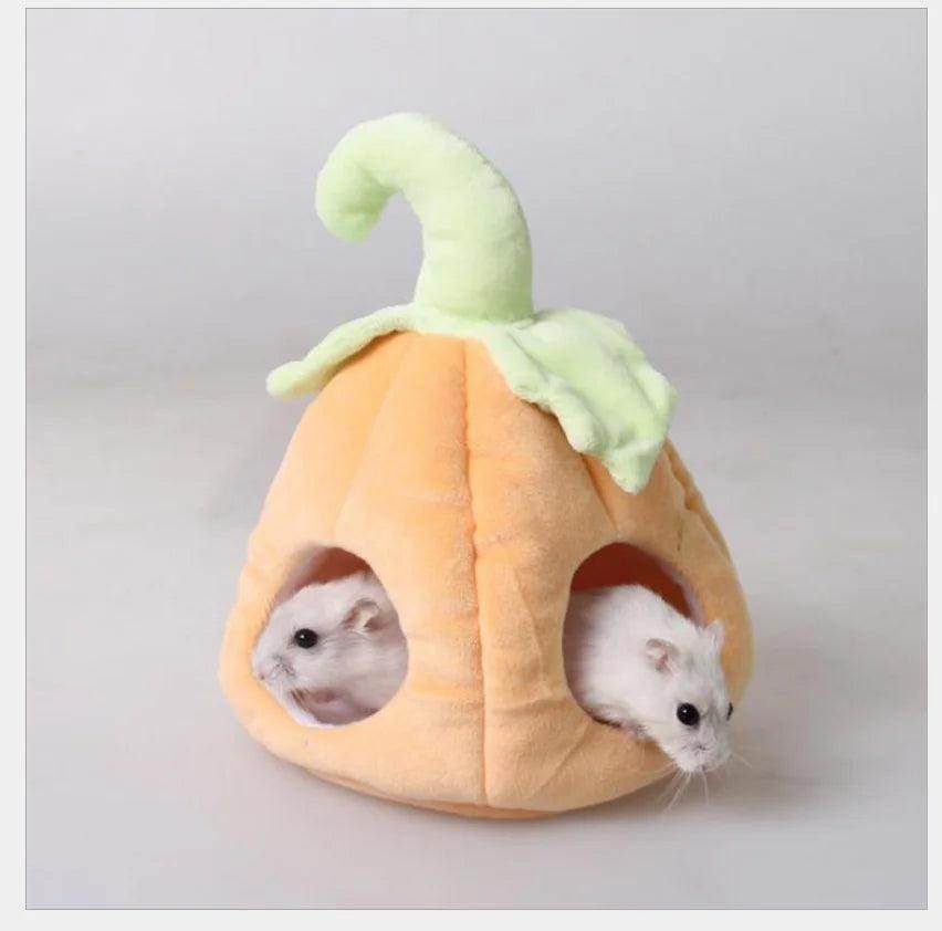 Rodents - Simply Petastic