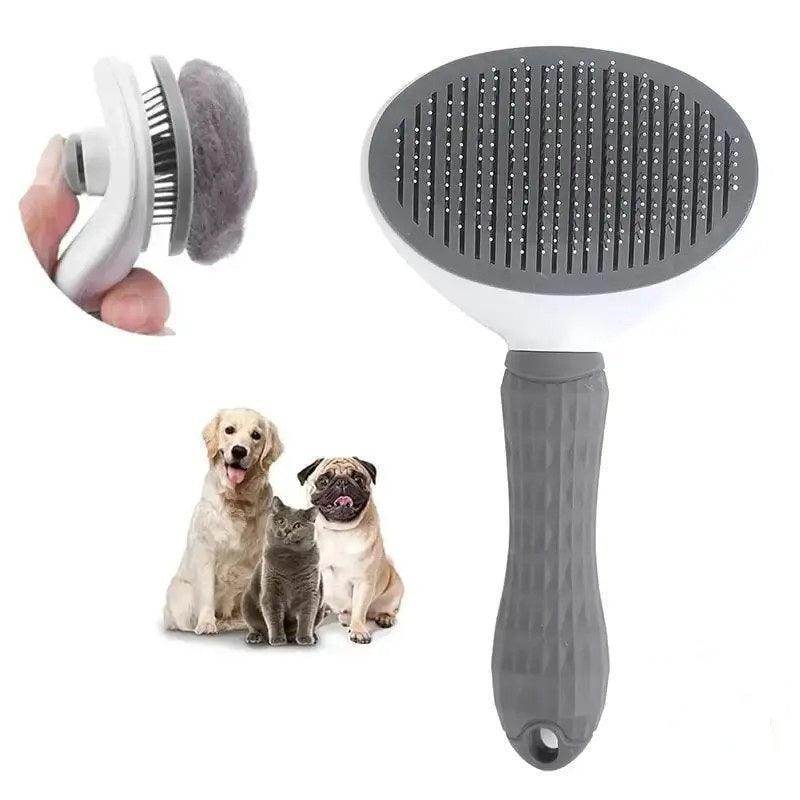 Dog Grooming: Tools and Techniques for Success