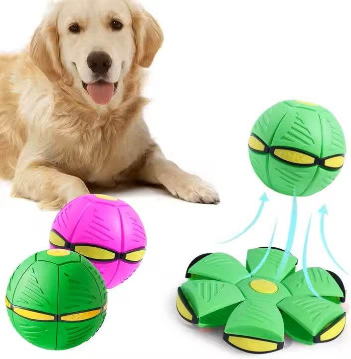 Dog Automated Toys - Simply Petastic