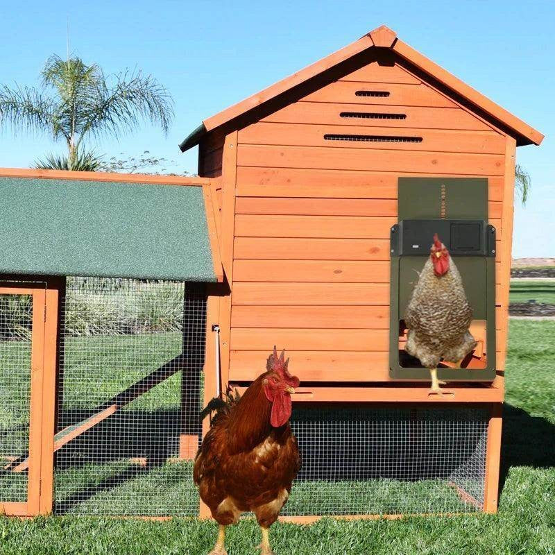 Automatic Chicken Coop Door Opener Battery Powered Light Sense Control Waterproof Pet Flap Upgrade ABS House Gate