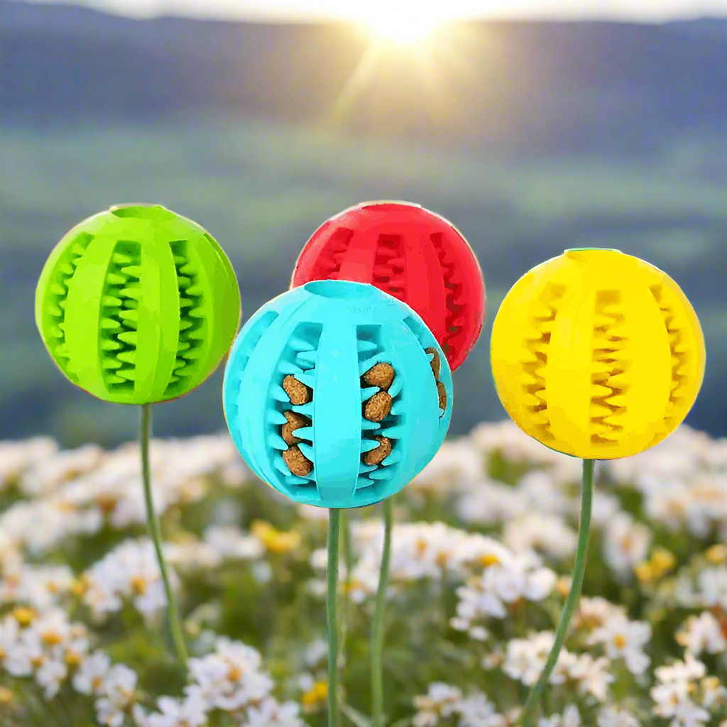 2pc Treat Feeder Tooth Cleaning Bite Resistant Rubber Chew Ball Toy - Simply Petastic