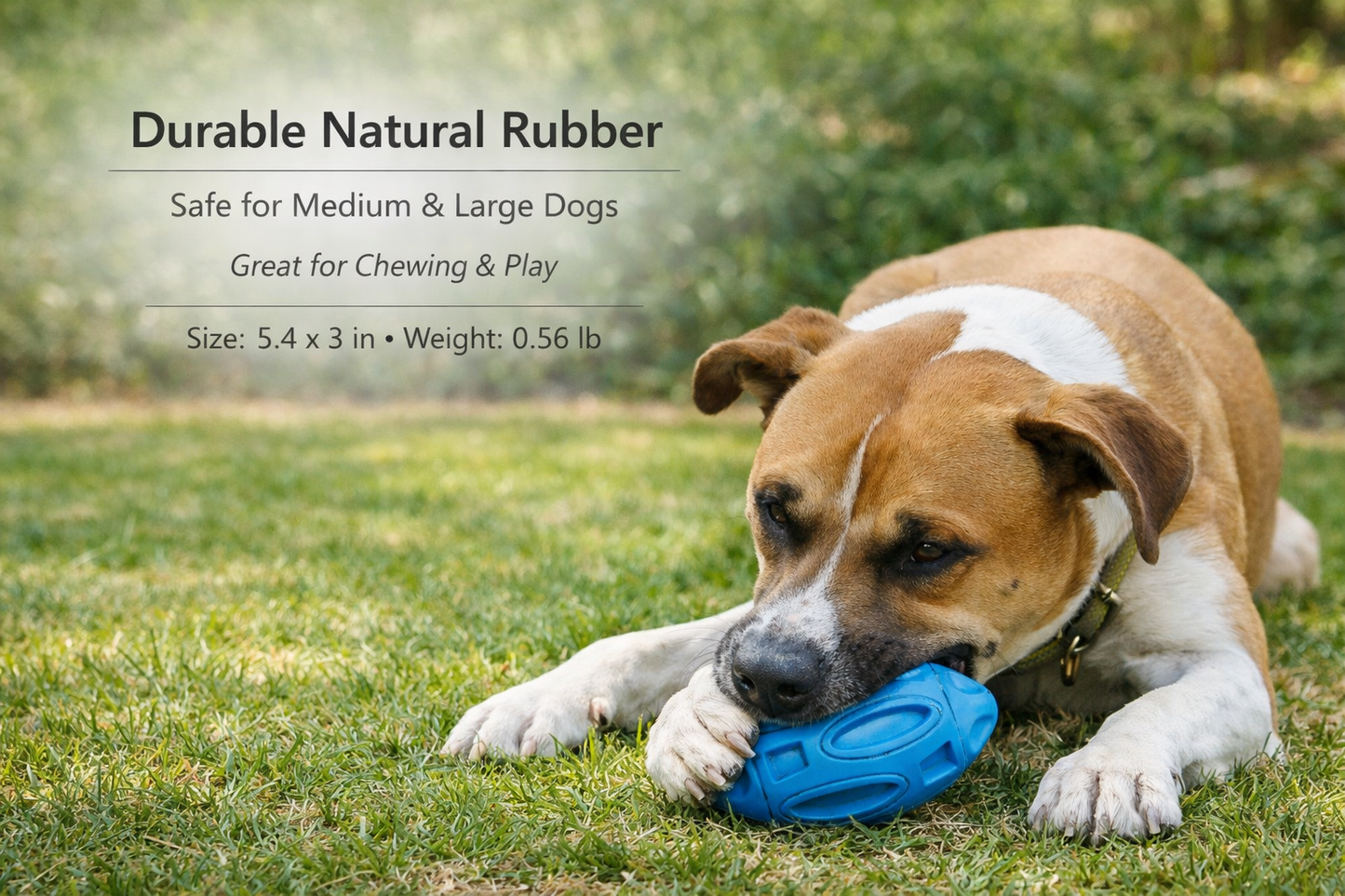 Blue Rubber Football Toy with Interactive Squeaker, Medium/Large Dogs Durable Aggressive Chewers