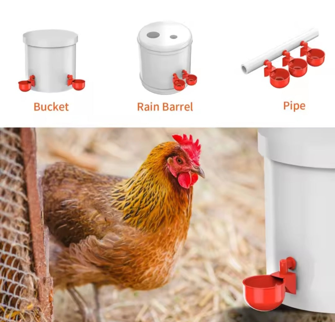 Automatic Water Cups Poultry Drinker Waterer Chicken Duck Quail Drinking Feeders